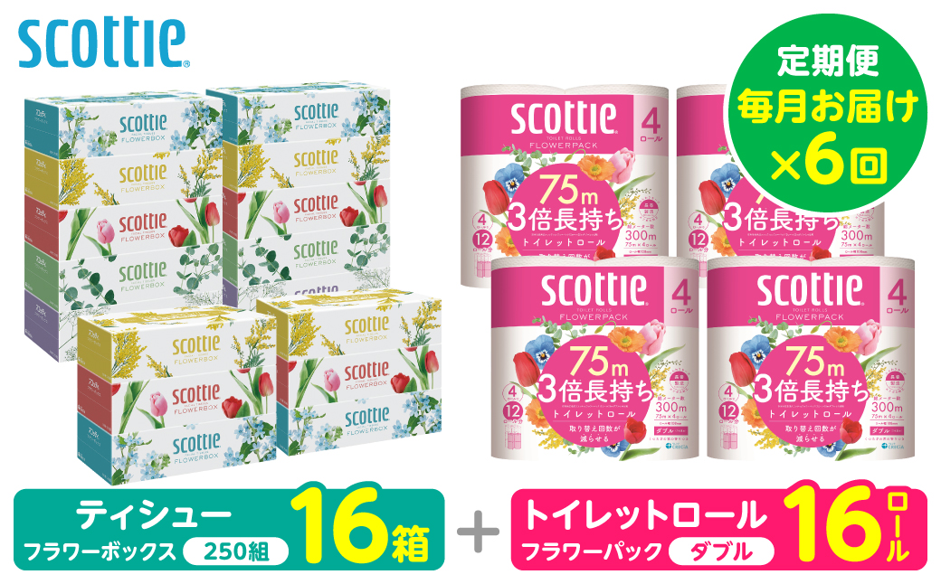 【定期便6回】【毎月お届け】【スコッティ】 組み合わせ ティシュー フラワーボックス 250組 16箱 計96箱 トイレットロール ダブル フラワーパック 3倍長持ち 16ロール 計96ロール ティッシュ トイレットペーパー 日用品 ストック 防災備蓄 ストック 備蓄 新生活 防災 消耗品 生活用品 日用消耗品 箱ティッシュ