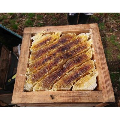 ふるさと納税 南部町 青森県南部町　日本ミツバチのミツロウ　60g×3本(180g) |  | 03