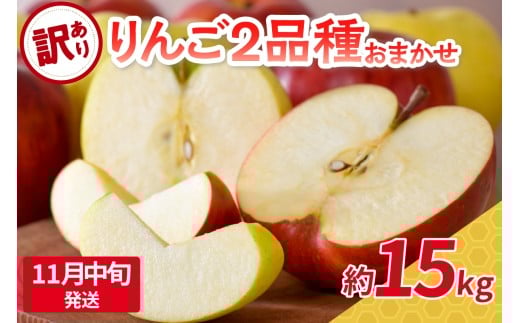 【2025年11月中旬発送】 【訳あり】旬の美味しいりんご 約15kg 青森産 【おまかせ2品種】