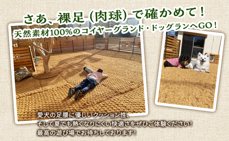 MARUMARUDOGS ドックラン 5時間利用券 1時間×5枚セット 人1人＋犬1頭 チケット 犬 ペット 体験 施設 施設利用券 ラン コイヤーグラウンド 天然素材 静岡県 河津町
