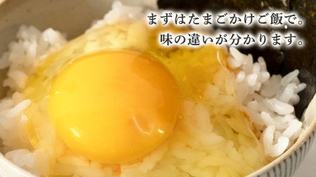 枝さんちのたまご(M～L20個) 産地直送 餌にこだわり 平飼いでのびのび育った卵[BT001sa]