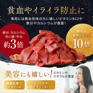 【定期便 3回】馬スジ 500g | 肉 にく お肉 おにく 馬 馬肉 馬スジ 定期 定期便 熊本県 玉名市