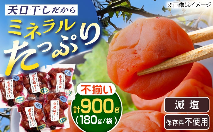
                  【訳あり】岐阜県産 不揃い 梅干し 計900g 180g×5袋 / 梅干し 訳あり わけあり 不揃い 天日干し 減塩 梅 うめ 国産 パック包装 セット お茶漬け おにぎり 料理 ご飯のお供 おかず 産地直送 小梅 梅干し うめぼし ウメボシ 梅干 お取り寄せ 贈答 ギフト 岐阜県 / 恵那市 / マルコ醸造 [AUCT007]
                