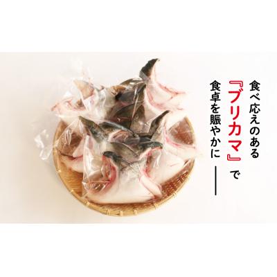 ふるさと納税 愛南町 ブリカマ 2切れ × 6パック 人気 国産 養殖 冷凍 ぶりかま 真空 パック ハマスイ 愛南町 愛 |  | 03