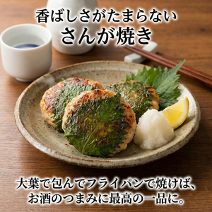 さんますり身 1kg 冷凍 さんま