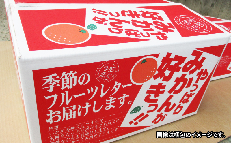 河内晩柑 贈答用 8.5kg 23～26玉 サイズ ミックス 不揃い 玉津みかん ニュービジネスユニット 先行予約 晩柑 かわちばんかん 和製 グレープフルーツ 高級 ギフト 贈答品 果物 フルーツ 