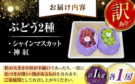 【2026年8月初旬頃から順次発送】【訳あり】ぶどう 食べ比べ シャインマスカット 神紅 各1房 詰め合わせ セット[AIAA005]