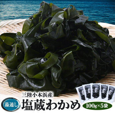 【ふるさと納税】三陸小本浜産湯通し塩蔵わかめ 100g×5袋【配送不可地域：離島】【1568471】