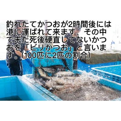 ふるさと納税 南国市 釣れたてモチモチ食感をご家庭で!ビリかつおわら焼きタタキ・刺身各250g×2(醤油・ニンニク・タレ付 |  | 03