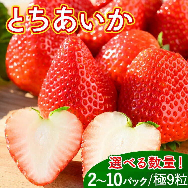 【ふるさと納税】＼選べる内容／《数量限定》いちご（とちあいか） 290g×2～10パック 580g～2.9kg以上・（とちあいか　極）9粒 600g以上｜先行予約 数量限定 栃木県 果物 くだもの フルーツ 苺 イチゴ ※2025年11月下旬～2026年3月下旬頃に順次発送予定