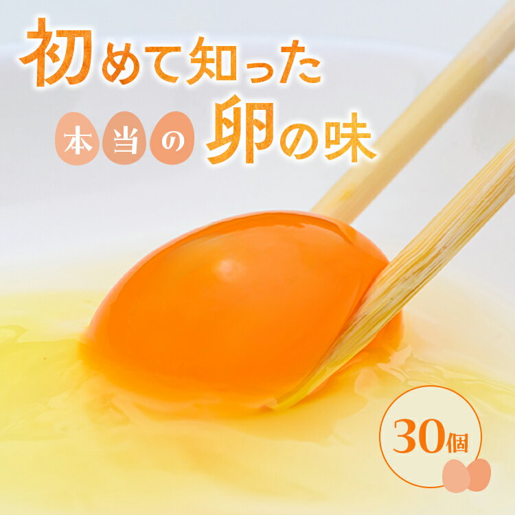 小久保ファーム 濃厚卵黄 産みたてたまご 赤玉30個入り（M玉）｜新鮮 濃厚 赤たまご たまご 卵 玉子 鶏卵 生卵 赤玉 濃厚卵黄 産みたて たまごかけご飯_EI01※着日指定不可