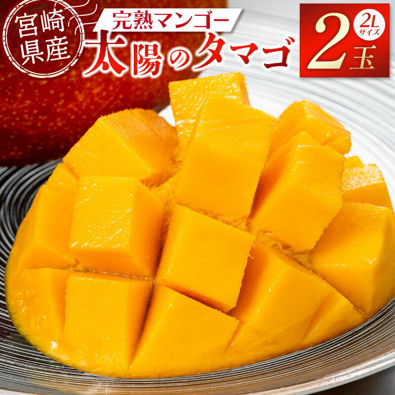 【ふるさと納税】《2025年発送》【期間・数量限定】宮崎特産品 宮崎県産完熟マンゴー 太陽のタマゴ 2L×2個 完熟マンゴー 完熟 果物 フルーツ デザート スイーツ 果肉 濃厚な甘み 南国フルーツ 特産品 名物 ご当地グルメ グルメ お取り寄せ 宮崎県 宮崎市 送料無料