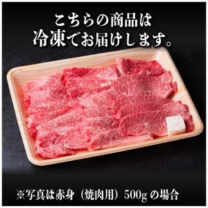 レビューキャンペーン中!飛騨牛　厳選焼肉3種(肩ロース・カルビ・赤身)計3kg(各500g×2)【配送不可地域：離島】【1669125】
