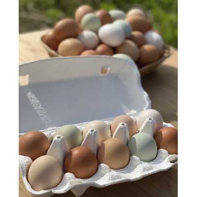 鶏とわたしの平飼い玉子　30個(10個入り×3パック)【配送不可地域：離島】【1626060】