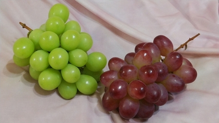 【先行予約】贈答用 信州産 葡萄【詰め合わせ】2房 【シャインマスカット、クイーンルージュ®】 