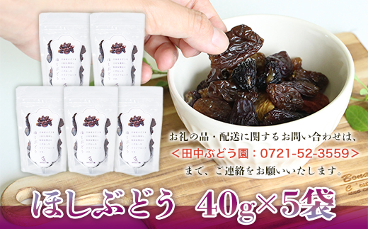 ほしぶどう 40g×5袋 国産 ドライフルーツ 無添加 複数品種 希少 レア 小分け干し葡萄 ほしぶどう 無添加 防災食品 保存食 備蓄食 常備食 食物繊維 鉄分 ポリフェノール レーズン 製菓 製パ