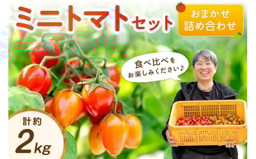 ミニトマトセット（おまかせ詰め合わせ）約2㎏《先行予約》