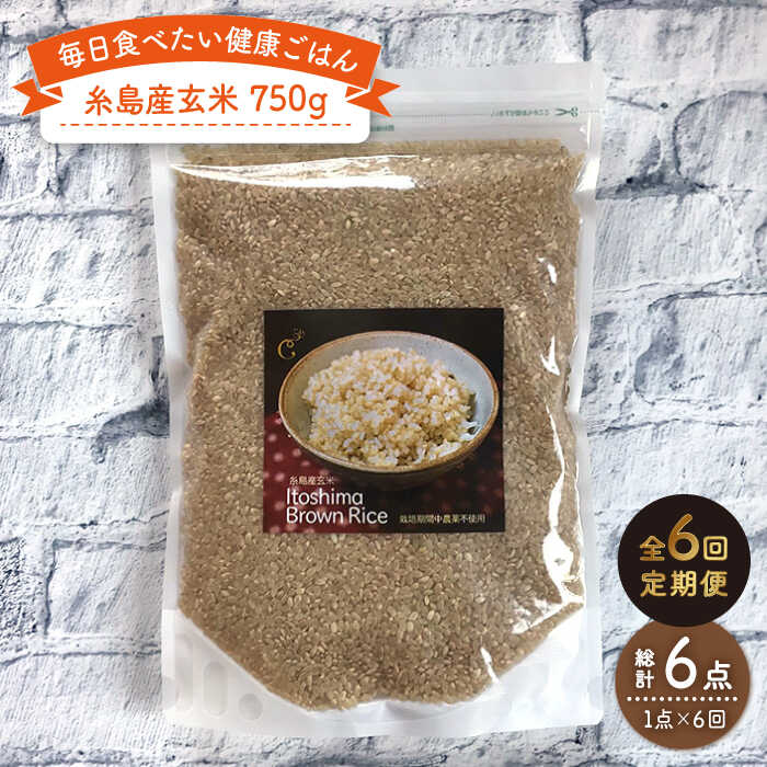 【ふるさと納税】【全6回定期便】糸島産玄米 750g 糸島市 / 株式会社Carna [ALA045] 24000円 常温
