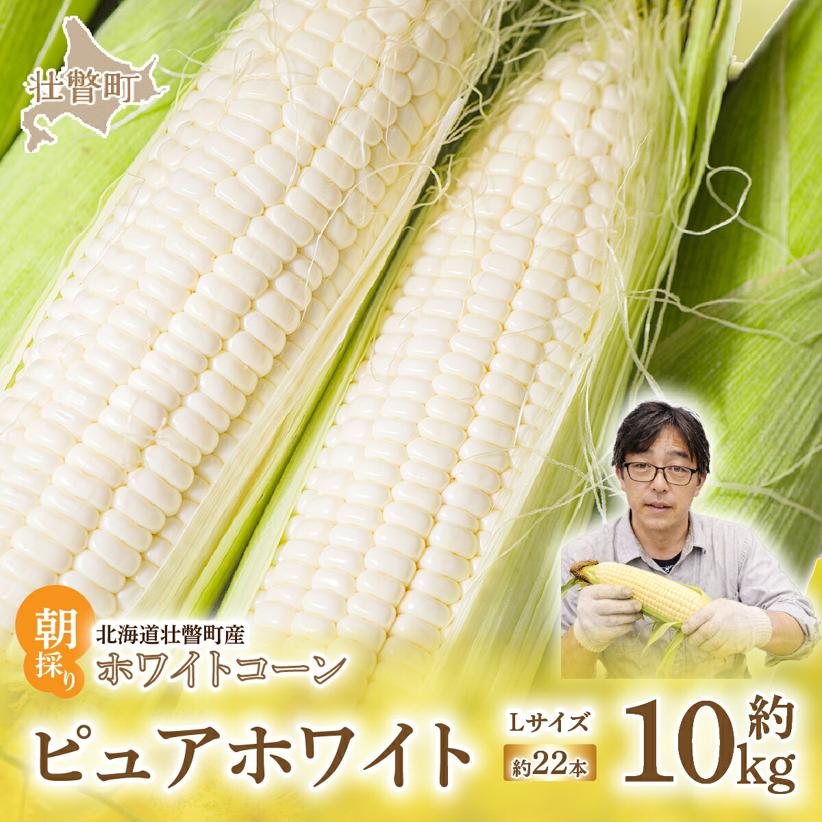 【ふるさと納税】＜2026年8月中旬よりお届け＞【朝採り】北海道壮瞥町　ホワイトコーン「ピュアホワイト」Lサイズ以上22本（約10kg） ふるさと納税 人気 おすすめ ランキング ピュアホワイト 白い 白 トウモロコシ とうもろこし 野菜 甘い 北海道 壮瞥町 送料無料 SBTQ002