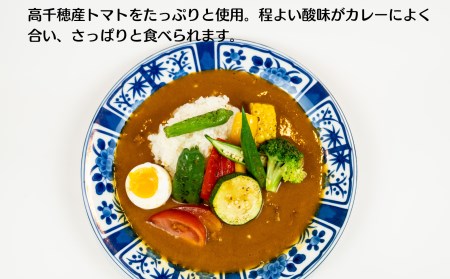 Ｃ-13　高千穂の食材カレーセット