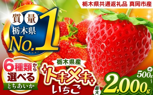 
                  【選べる】いちご とちあいか 訳あり 500g～2kg【2027年先行予約】 | 定期便 お試しサイズあり 栃木県共通返礼品 真岡市産 栃木県矢板市
                