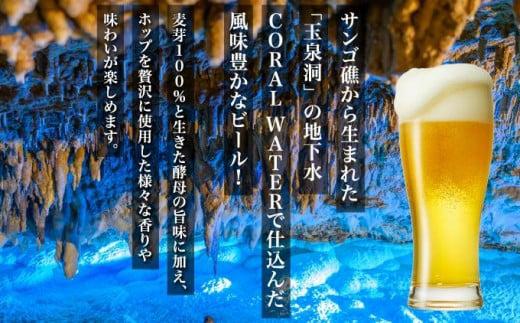 沖縄サンゴビール 定番3種 24本セット   I   クラフトビール 人気 地元  ビール 飲み比べ ギフト用   お土産 お酒 24本  沖縄県 南城市
