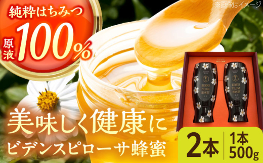 コハマのハチミツ ビデンスピローサ蜂蜜 500g×2本 蜂蜜 はちみつ ハチミツ 国産 ギフト 沖縄市 / 農業生産法人株式会社小浜養蜂場 [BCAQ003]