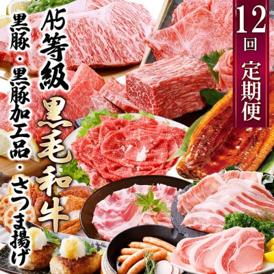 定期便(12回配送)枕崎お楽しみ便(A5等級黒毛和牛・黒豚・黒豚加工品・さつまあげ等)JJ−6003【1166754】