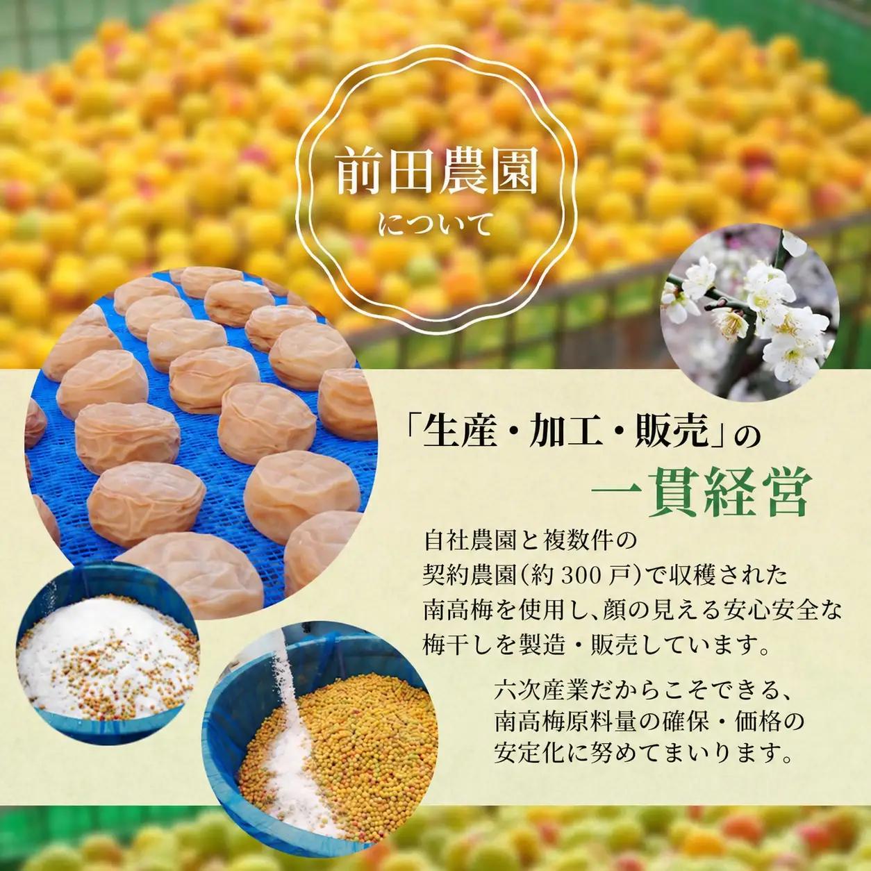 大粒 たっぷり浸かったしそ漬け梅 1kg×1パック 塩分10％ / お歳暮 紀州南高梅 訳ありでない 梅干 うめぼし 南高梅 しそ梅 シソ 紫蘇 国産 梅 うめ ウメ ご飯 和歌山県 田辺市 前田農園