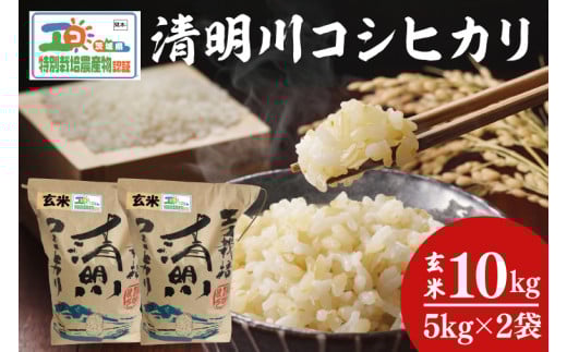 【先行予約】新米令和7年産 茨城県特別栽培認証 清明川コシヒカリ玄米 5㎏×2袋【米 おこめ こしひかり  特別栽培米 農家直送 直送 茨城県 阿見町】（04-20-1）