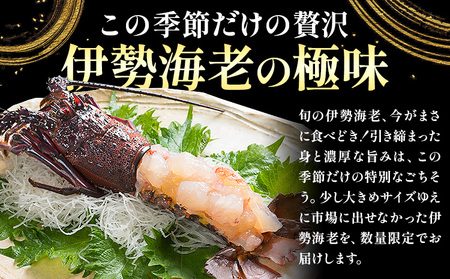 数量限定 訳あり 活〆冷凍 伊勢海老 3kg(7〜10尾) 寺田水産【配送不可地域あり】（離島）
