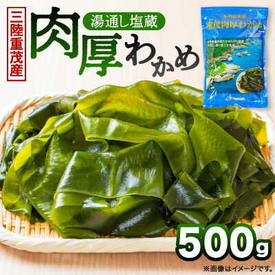 【ふるさと納税】【毎月定期便】【三陸重茂産わかめ】湯通し塩蔵　肉厚わかめ　500g全3回【配送不可地域：離島】【4087851】