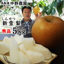 【ふるさと納税】【中野農園】新雪梨 5kgセット（5-7玉）ご進物用　｜鳥取県 岩美町 梨 なし ナシ 新雪梨 果物 フルーツ 詰め合わせ セット 進物用 送料無料【41012】