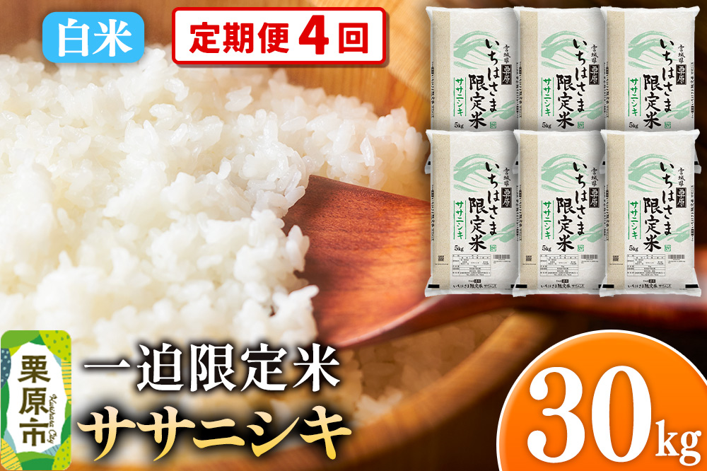 《定期便4回》【白米】令和7年産 一迫限定米  ササニシキ 30kg（5kg×6袋）