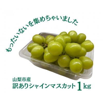 【2027年発送先行受付】訳あり 粒 シャインマスカット 約1kg【配送不可地域：離島・沖縄県】