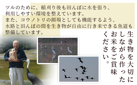 新米 ＜令和7年産 コシヒカリ「つるの寝どこまい」約5kg 西予市宇和町産＞ 2025年産 こしひかり お米 コメ こめ 白米 精米 ご飯 ごはん 穀物 ライス SDGs 共生 楠 健明 愛媛県 西予