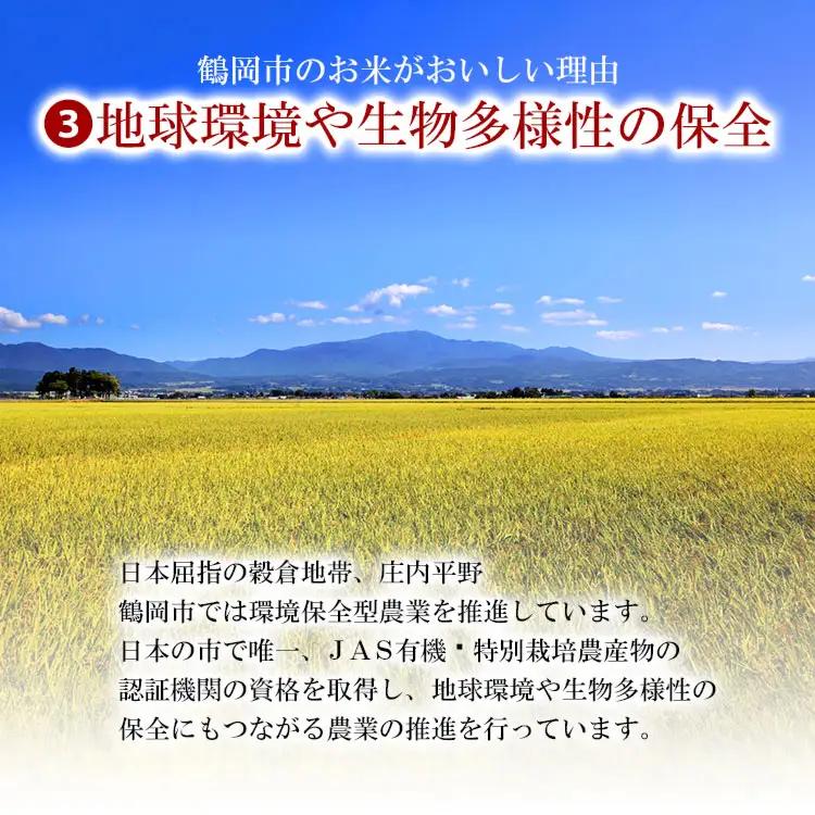 【令和7年産】 ササニシキ 精米 15kg (5kg×3袋)　山形県 庄内産　米食味鑑定士お薦め　| ささにしき 15キロ 米 お米 コメ 白米 食品 ご飯 ごはん 美味しい おいしい ブランド米 お