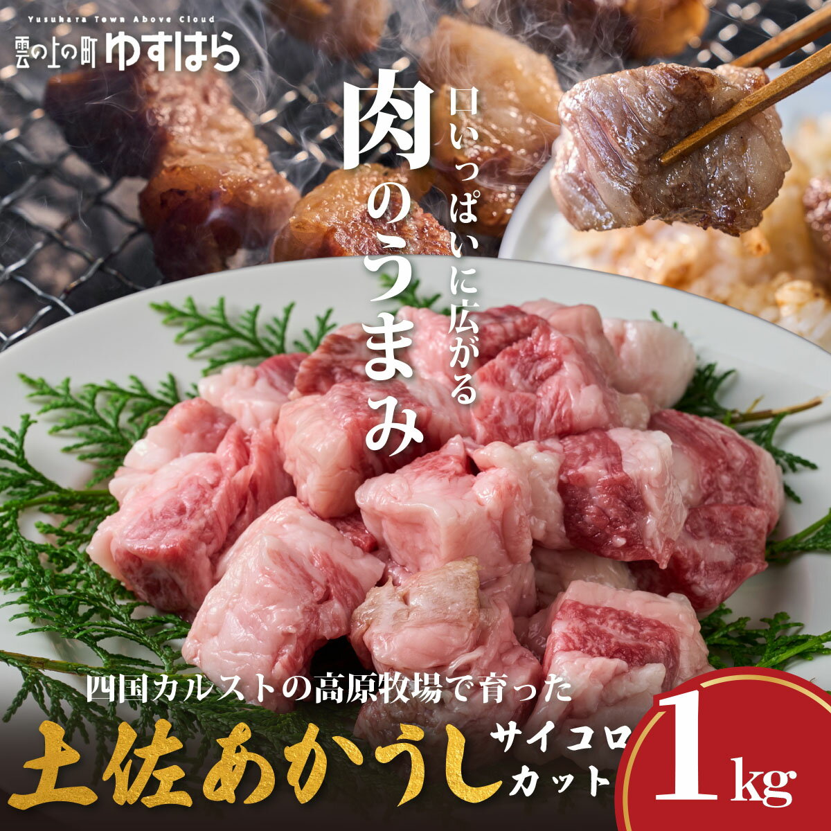 【ふるさと納税】低温でも脂身がとろける土佐あかうしサイコロカット 1kg　牛肉 和牛 国産 BBQ オレイン酸 高知県産
