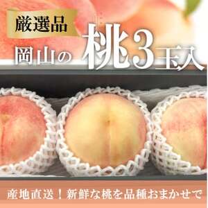 【きよとうファーム】【厳選品】旬の桃(品種おまかせ)3玉入(岡山県産)【配送不可地域：離島】【1571583】