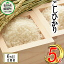 【ふるさと納税】 お米のサブスク コシヒカリ 5kg × 6回 【 6カ月 定期便 】 沖縄県への配送不可 ふるさと振興公社 長野県 飯綱町 【 信州 長野 こしひかり 6ヶ月 定期 お米 白米 信州のお米 精米 米 】 [お届け6回 (**)]