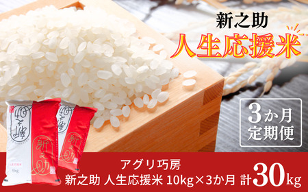 [定期便10kg×3か月] 新之助人生応援米10kg（5kg×2袋）×3か月 計30kg 令和7年産 新之助 白米 アグリ巧房 【070S009】