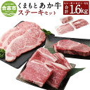 【ふるさと納税】くまもとあか牛 ステーキセット 合計1600g 合計1.6kg ヒレ (200g) サーロイン (200g×3枚) もも (200g×4枚) 和牛 牛肉 あか牛 赤牛 お肉 精肉 ステーキ セット グルメ お取り寄せ 冷凍 熊本県産 国産 合志市 送料無料