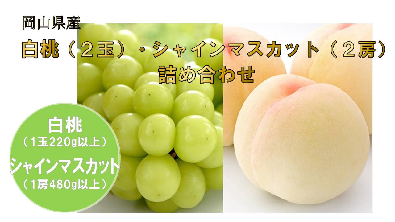 
岡山県産フルーツ詰合せ／白桃２玉（１玉220g以上）・シャインマスカット２房（１房480g以上）（WFH）
