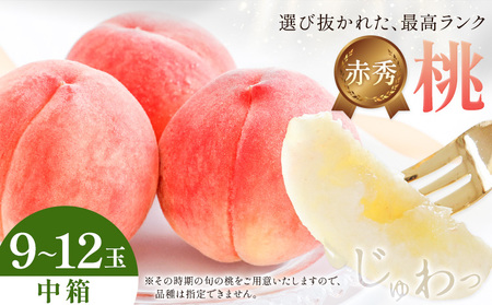 【先行予約】桃 赤秀 モモ 紀の川市産 中箱 9～12玉 株式会社松源《6月下旬-8月中旬頃出荷》和歌山県 紀の川市 送料無料 フルーツ 果物 もも 最高ランク 贈答 プレゼント 赤秀ランク お取り寄せフルーツ