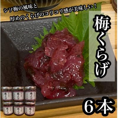 ふるさと納税 小田原市 梅くらげ 6本【小田原で作る梅の珍味、日本酒、焼酎、お酒のあてに。】【神奈川県小田原市早川】