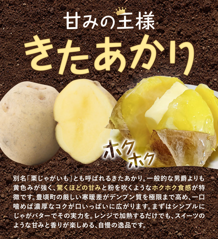 【2026年秋出荷】先行予約 十勝野じゃがいも 詰め合わせセット 10kg きたあかり メークイン 按田農場《2026年10月中旬-11月末頃出荷》北海道 豊頃町 十勝野 じゃがいも セット 農家直送