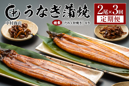 ＜定期便＞2尾×全3回 国産 うなぎ 蒲焼 有頭 計1kg以上（1回あたり 計362g以上） 肝焼き・たれ付き 宮崎県産 鰻 中村商店