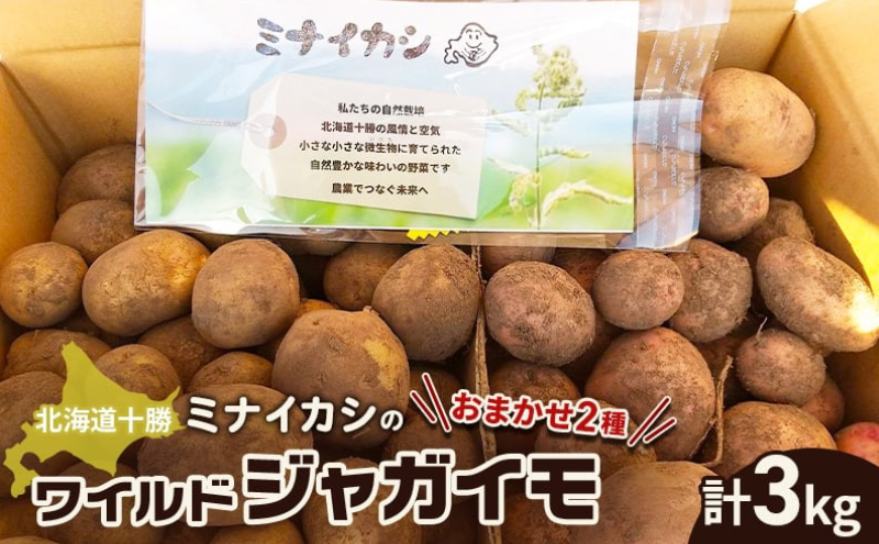 北海道十勝 ミナイカシのワイルドジャガイモおまかせ2種 計3kg 【栽培期間中農薬不使用】自然栽培 じゃがいも【 芋 いも ジャガイモ 野菜 食品 人気 産直 産地直送 北海道 幕別 】
