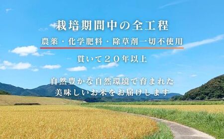 【令和7年産】四万十市産 コシヒカリ 玄米 9kg 栽培期間中農薬・ 化学肥料・除草剤不使用 国産 こしひかり 2025年産 米 こめ コメ ご飯 高知 四万十 しまんと 農家直送 蕨岡の百姓 福留壯