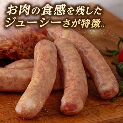 ふるさと納税 糸島市 一貴山豚 あらびきフランク 20本(5本×4パック) いきさん牧場 豚肉[AGB068] |  | 01